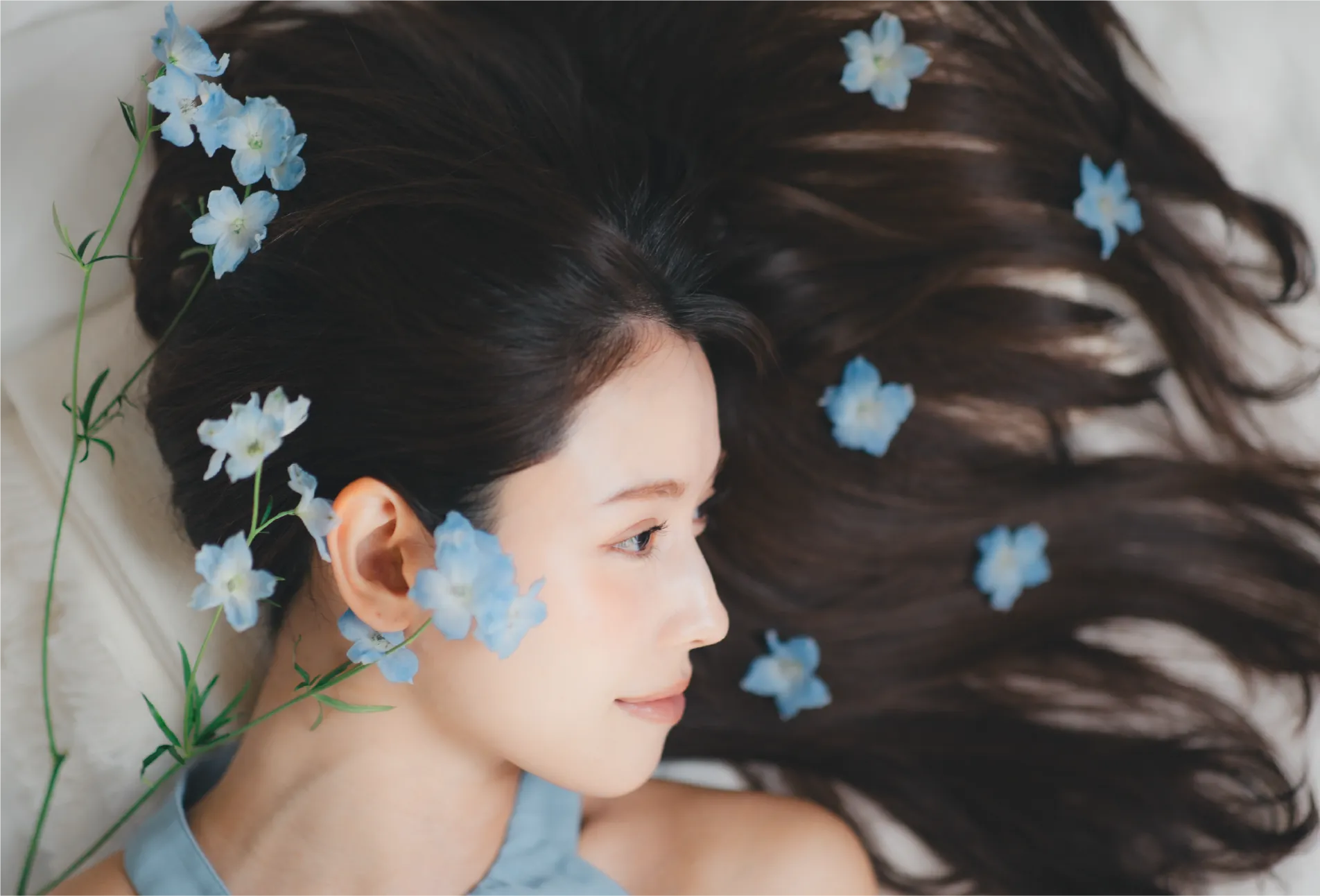 所属俳優のイメージ